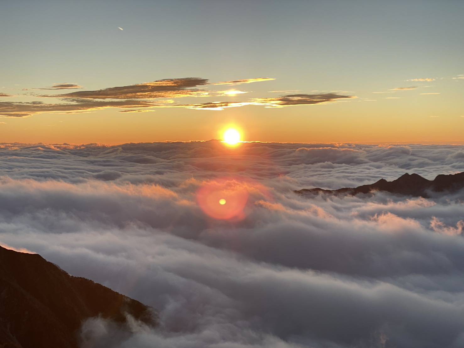 新年明けましておめでとうございます!